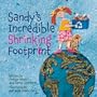 Sandy's Incredible Shrinking Footprint