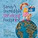 Sandy's Incredible Shrinking Footprint