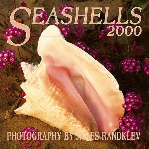 Seashells 2000 Calendar