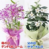 ���̓��M�t�g���̓��E���̓��@�Ԕ��Z�b�g�y���͂���5��7���`10���z