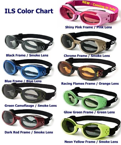 Doggles ILS Glasses