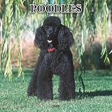 Poodles 2008 Square Wall