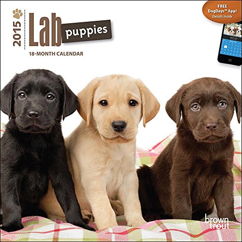 Lab Puppies 2015 Small Wall Calendar