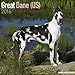 Great Dane (US) Calendar - Only Dog Breed Great Dane (US) Calendar - 2016 Wall calendars - Dog Calendars - Monthly Wall Calendar by Avonside