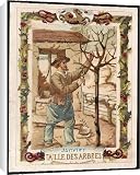 Canvas Prints of Seasons/january/pruning from Mary Evans