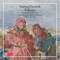 Panufnik: Symphonic Works Vol.2 (Sinfonia Rustica/ Sinfonia Concertante/ Polonia/ Lullaby)
