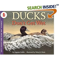 Ducks Don't Get Wet
