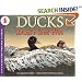 Ducks Don't Get Wet