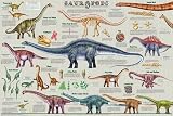 (24x36) Laminated Sauropods Educational Dinosaur Science Chart Poster