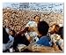 Miami Dolphins - Shula Carry Off - 1972 Team Signed 20x24 Photograph with over 40 Signatures