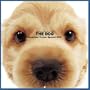 Artlist Collection the Dog 2005 Calendar American Cocker Spaniel (Multilingual Edition)