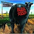 Blink 182: Dude Ranch