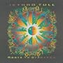 At Last Forever (2006 Digital Remaster)