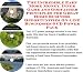 The Incredible Earn More Money, Inner Game and Godfather Principles for Great Home Business Opportunities On-line Businesses 3 CD Power Pack