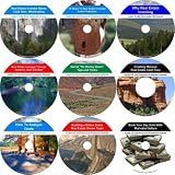 The Incomparable 9 Audio CD No Money Down, Cash Creating, Real Estate Mentoring System