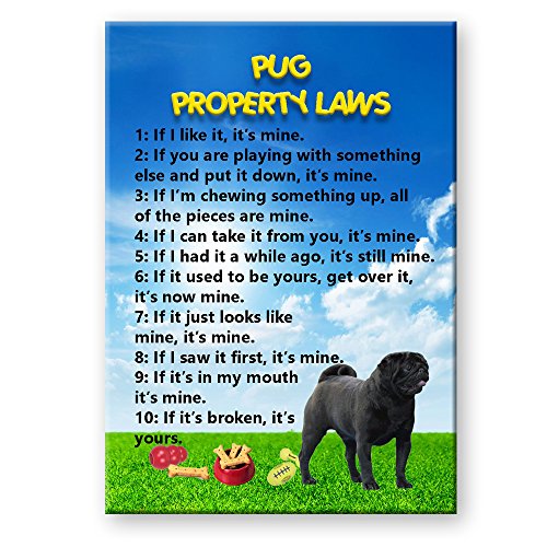 Pug Property Laws Fridge Magnet (Black) Funny