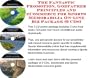 The Fantastic Promotion, Godfather Principles and eCommerce for Sports Memorabilia On-line Biz Package (3 CDs)