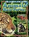 Search : Animals of the Rain Forest (Reading Rocks!)