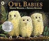 Owl babies