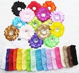 Ema Jane - 16 Large Gerber Daisy Flower Hair Clip Bows (32 Pack, 16 Flowers + 16 Headbands) with Soft Stretch Crochet Child Head Bands - Will Fit Infants, Baby, Toddlers, Girls, Youth, Newborns