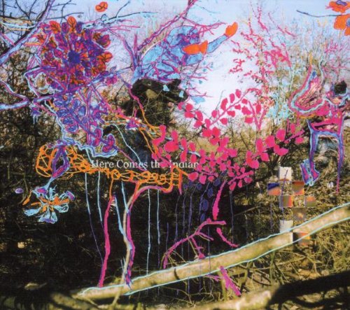ANIMAL COLLECTIVE - HERE COMES THE INDIAN - 33T