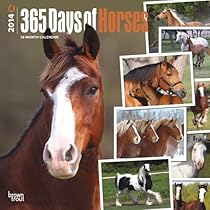 The Mare