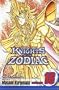 Knights of the Zodiac (Saint Seiya), Vol. 16