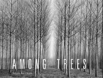 Among Trees