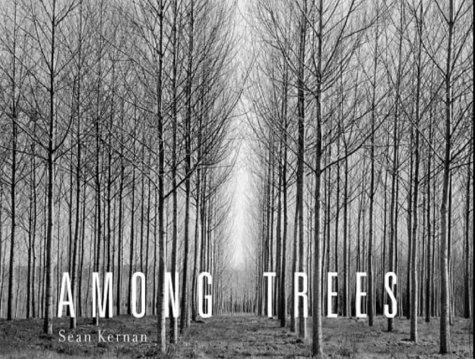 Among Trees
