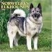 Norwegian Elkhounds 2006 Calendar