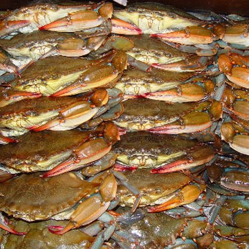 Order Soft Shell Crab Online