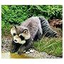 Folkmanis Large Raccoon Pupppet