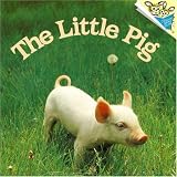 Books : The Little Pig (Pictureback(R))