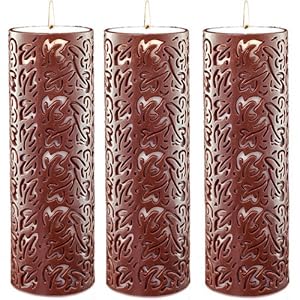 3 x 9 White Lig Scented Pillar Candles Set of 12 by Zest Candle