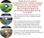 The Fantastic Marketing, Godfather Principles and Sales Models for Pool Heaters & Solar Panels Web Biz 3 CD Course