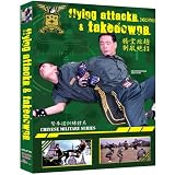 Flying Attacks & Takedowns