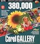 Corel Gallery 380,000