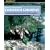 Expedition Canoeing, 20th Anniversary Edition: A Guide to Canoeing Wild Rivers in North America (Falcon Guides Canoeing)