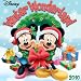 Disney Winter Wonderland 2010