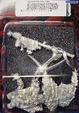 Beastmen Malagor the Dark Omen Warhammer Fantasy Chaos