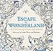 Escape to Wonderland: A Colouring-Book Adventure RS.176.00