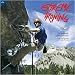 Extreme Ironing 2010 Wall Calendar