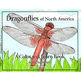 Dragonflies of North America: A Color and Learn Book With Activities