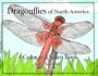 Dragonflies of North America: A Color and Learn Book With Activities