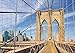 Ravensburger View from the Brooklyn Bridge 1000 Piece Jigsaw Puzzle for Adults – Every piece is unique, Softclick technology Means Pieces Fit Together Perfectly