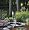 LR Nelson 320015 Sunterra Butterfly Gardens Complete Pond Kit