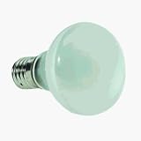 G E LIGHTING #25777 GE 40W R14 Spot Light
