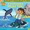 Go Diego Go 8x8 book series in order