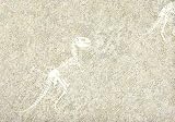 Beige Dinosaur Skeleton Wallpaper