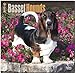 Basset Hounds 2015 Square 12x12 (Multilingual Edition)
